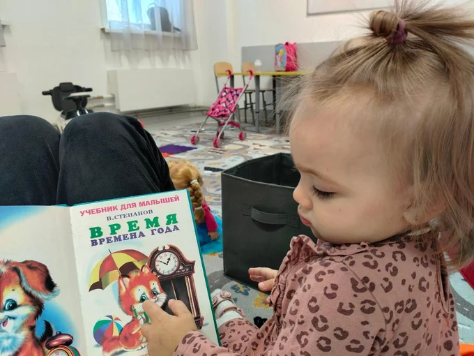 Педагог раннего развития,  Воспитатель