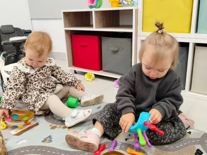 Педагог раннего развития,  Воспитатель